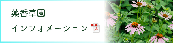 メディカルハーブガーデン 薬香草園 生活の木 ハーブやアロマなど自然の恵みを活かし ウェルネス ウェルビーイングなライフスタイルをお届け