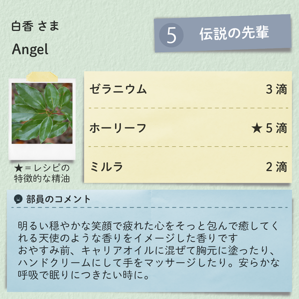 レシピブロック_240823_13_白香_Angel.png